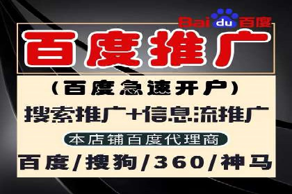 如何利用百度竞价代理：真实案例分析